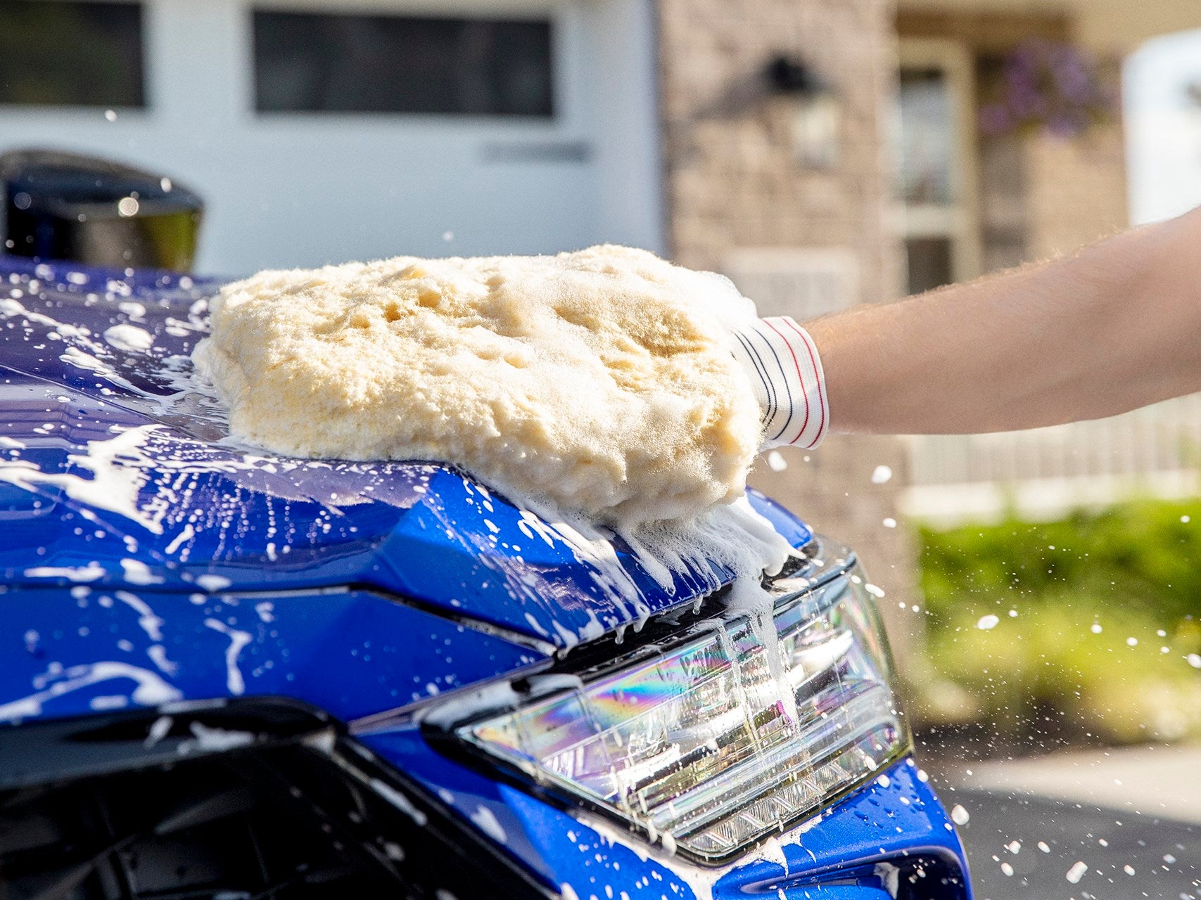 Wash Mitt