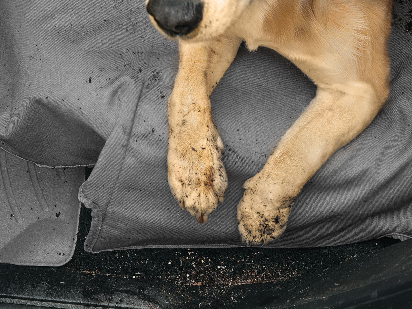 Seat Protector - supremeseatcovers